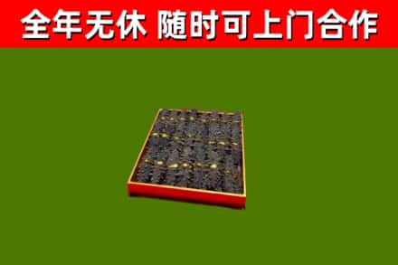 西沙回收海参